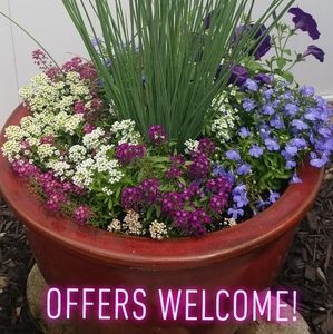 Feel free to bundle and make an offer!